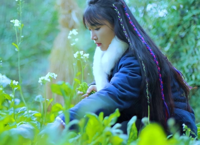 Lý Tử Thất comeback