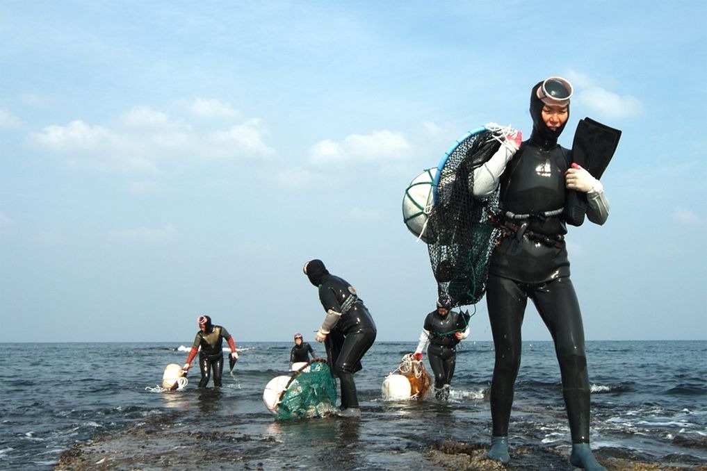 hải nữ Jeju, gene đặc biệt, phụ nữ lặn biển, khả năng chịu lạnh, huyết áp thấp, nghiên cứu di truyền, đột quỵ, Cell Reports