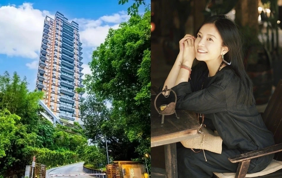 Triệu Vy, Triệu Vy bán tháo tài sản, Triệu Vy khánh kiệt, Triệu Vy Huỳnh Hữu Long