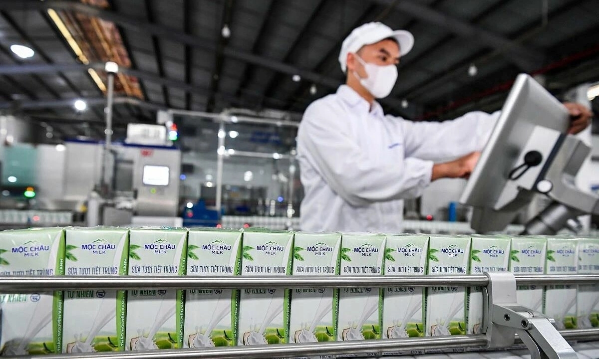 Mộc Châu Milk báo lãi lớn nhờ ‘thắt lưng buộc bụng’