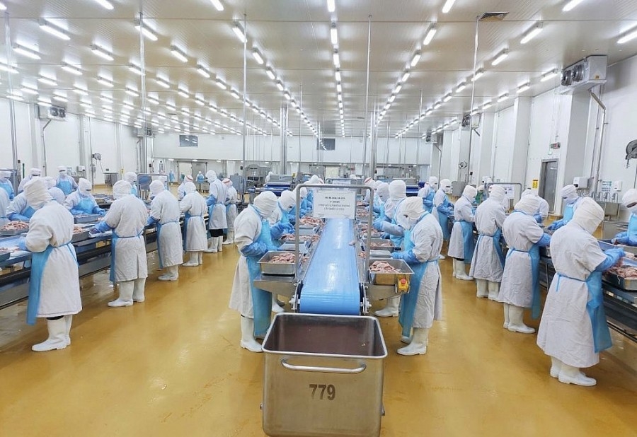 Thị trường Halal tỷ USD: Cơ hội vàng cho doanh nghiệp Việt