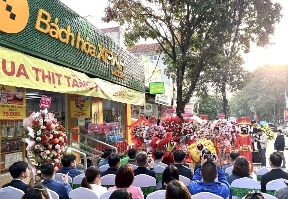 Bách Hóa Xanh, Ninh Bình, mở rộng miền Bắc, Thế Giới Di Động, bán lẻ thực phẩm, chuỗi siêu thị mini, khai trương Bách Hóa Xanh