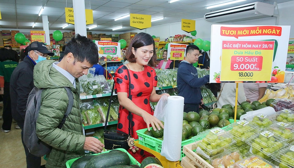 Bách Hóa Xanh, Ninh Bình, mở rộng miền Bắc, Thế Giới Di Động, bán lẻ thực phẩm, chuỗi siêu thị mini, khai trương Bách Hóa Xanh