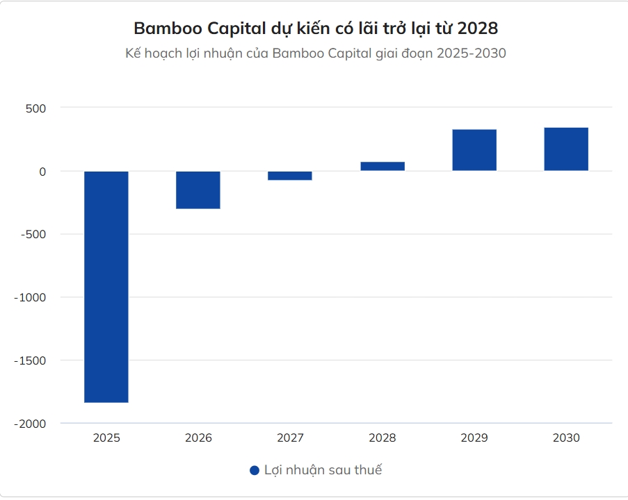Bamboo Capital, BCG lỗ 2027, kế hoạch kinh doanh BCG, báo cáo tài chính BCG, ông Nguyễn Hồ Nam, cổ phiếu BCG