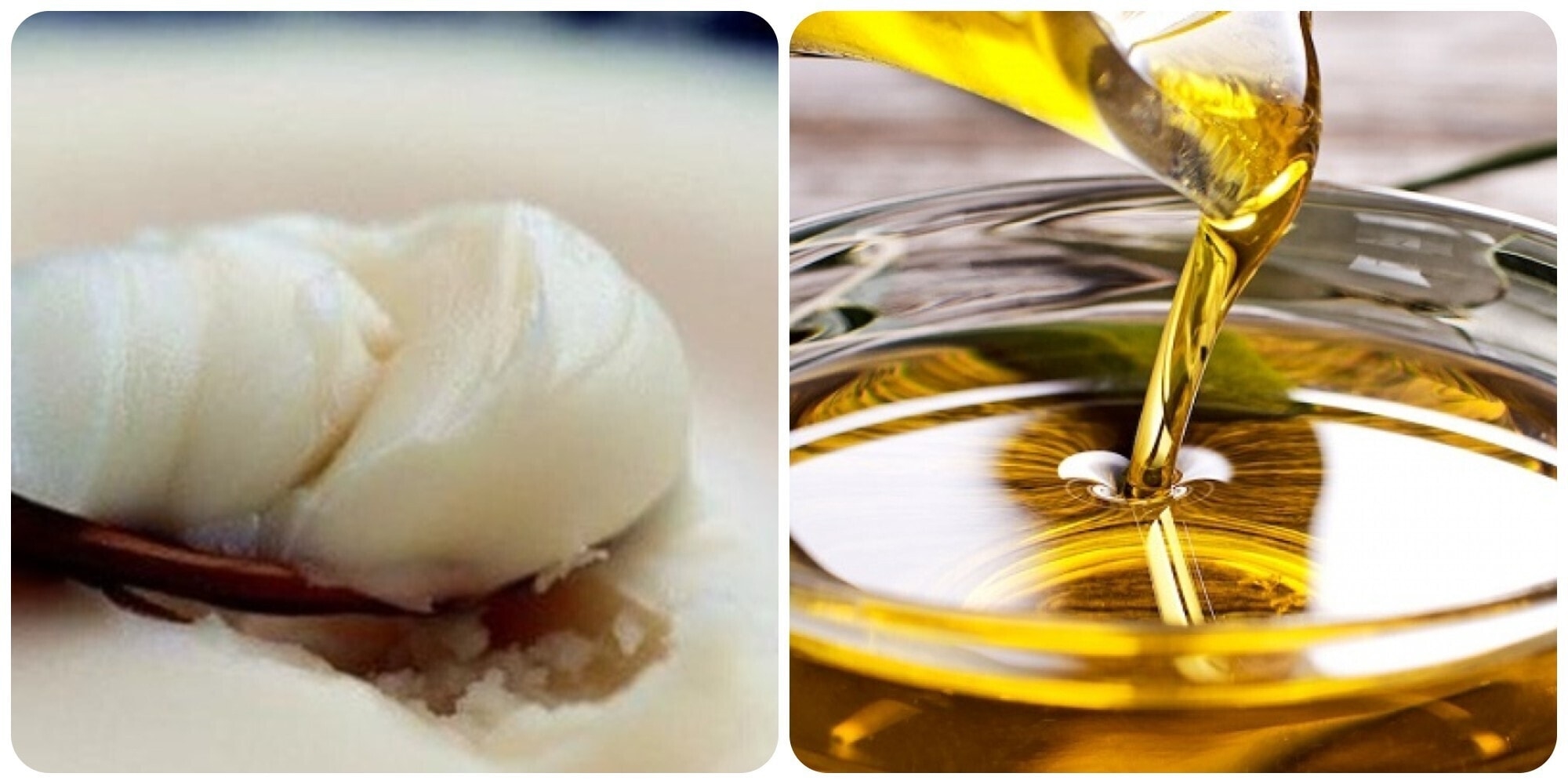 Mỡ heo, dùng mỡ heo thay dầu ăn, mỡ heo có tốt không, chất béo bão hòa, dầu olive, dầu canola, dầu hướng dương, sức khỏe tim mạch, ăn mỡ heo hàng ngày