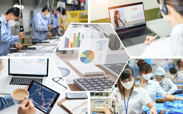 Thị trường lao động Việt Nam qua số liệu của LinkedIn